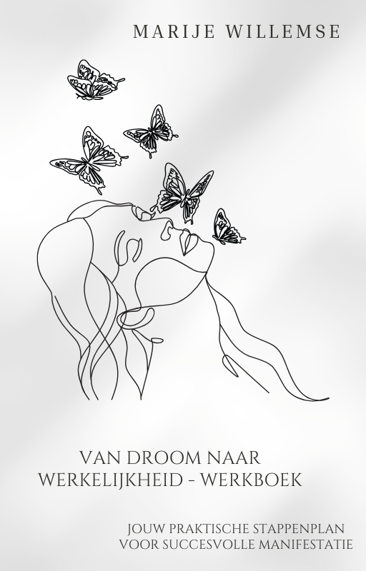 Boek + Werkboek Manifestatie Bundel