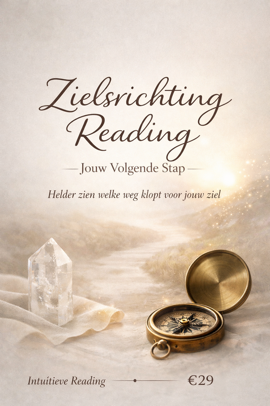 Zielsrichting Reading – Jouw Volgende Stap