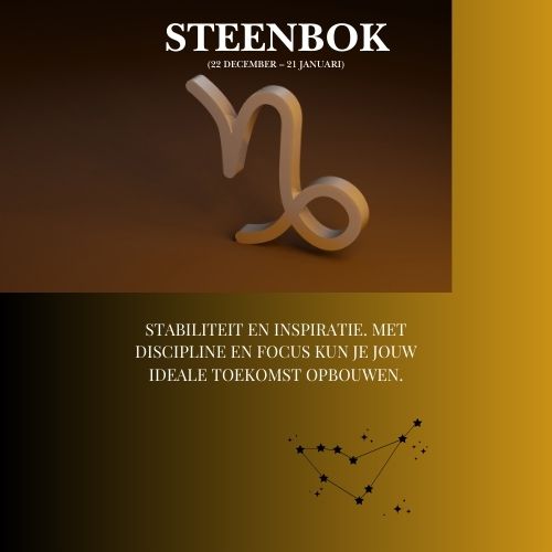 Steenbok - Jouw Voorspelling voor 2025