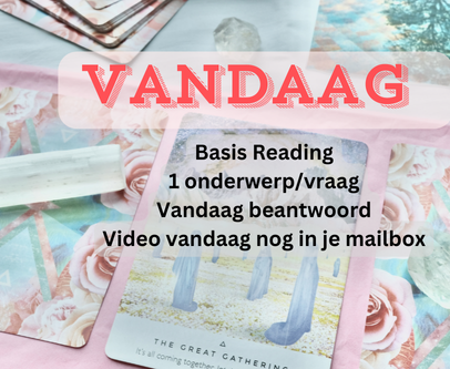 Vandaag Video Reading Basis (zelfde dag nog, 1 onderwerp)