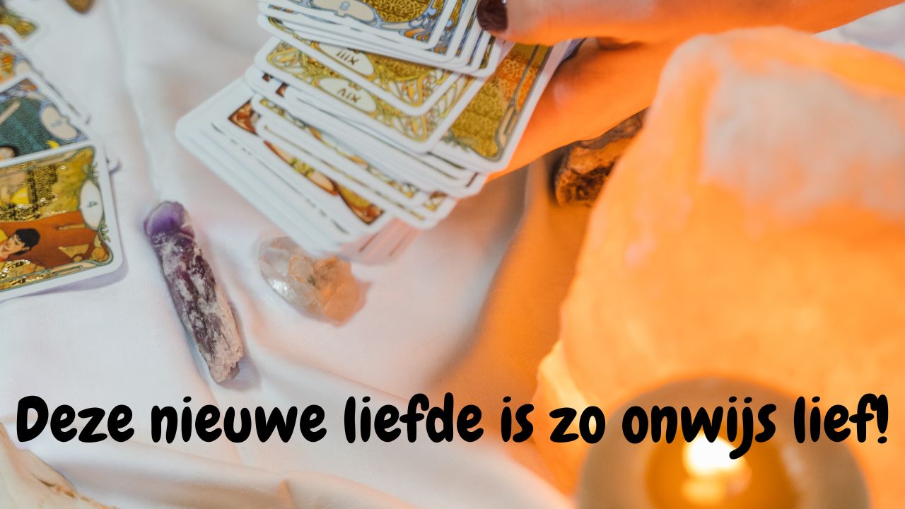 Verlenging - (5 september 2023) Deze nieuwe liefde is zo onwijs lief