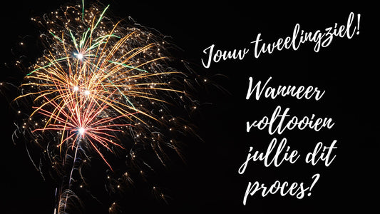 Verlenging - (29 december 2022) Jouw tweelingziel! Wanneer voltooien jullie dit proces?