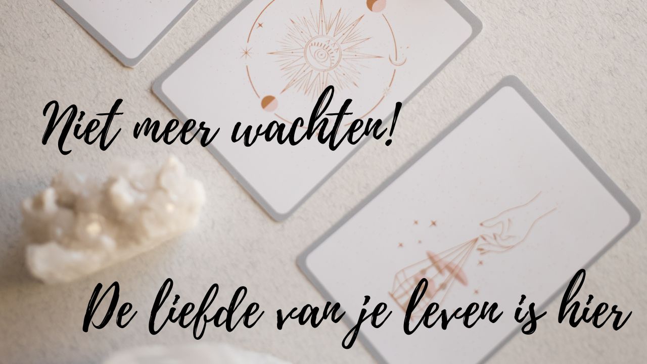 Verlenging - (19 maart 2023) Niet meer wachten! De liefde van je leven is hier