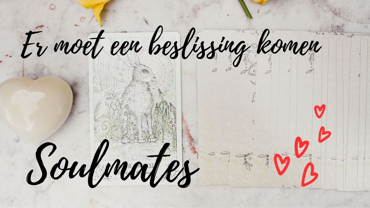 Verlenging - (11 maart 2023) Er moet een beslissing komen. Soulmates