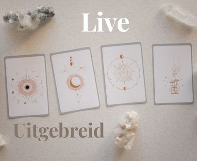 Live Reading Uitgebreid