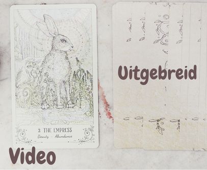 Video Reading Uitgebreid (binnen 7 dagen, ca 3 onderwerpen mogelijk)